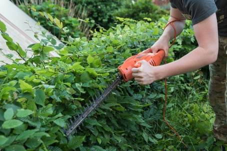 24 in. Cordless Battery Hedge Trimmer